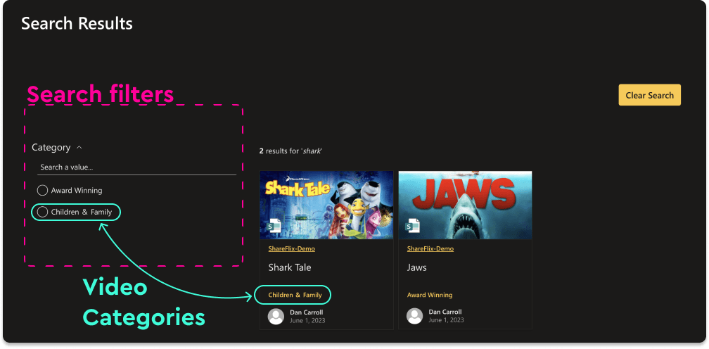 Video category search filters